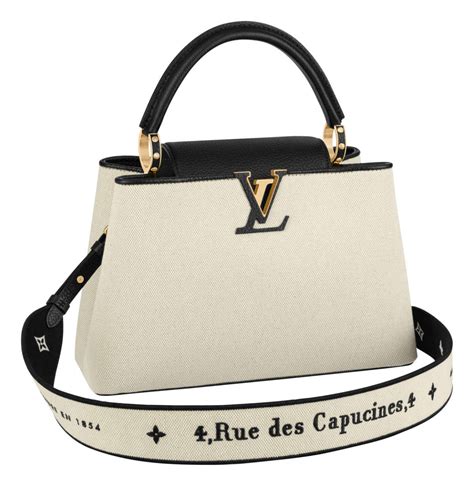 capucine louis vuitton ebay|louis vuitton capucines price euro.